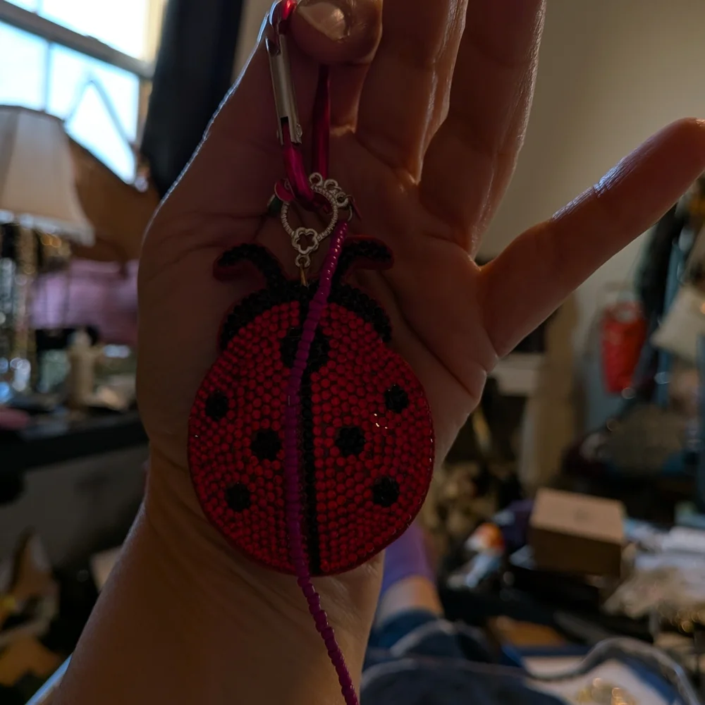 Red and Black Crystals Ladybug Pillowed Large Keychain Bag Charm